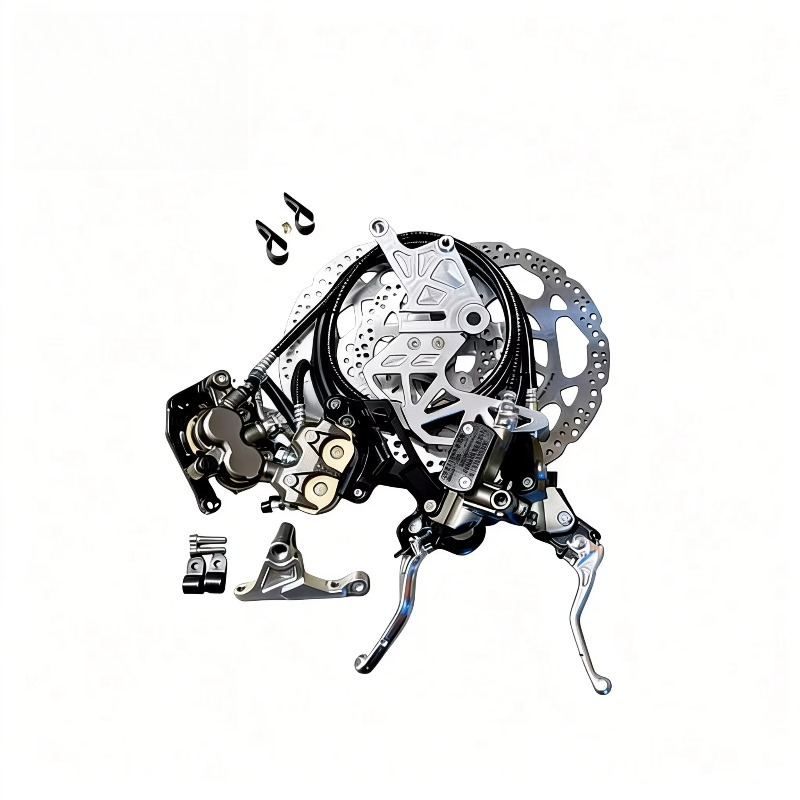 Rear Brake Assemblies + Mounts - Brake Disc Motorcycle review and price