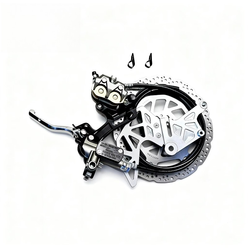 Rear Brake Assemblies + Mounts - Brake Disc Motorcycle review and price