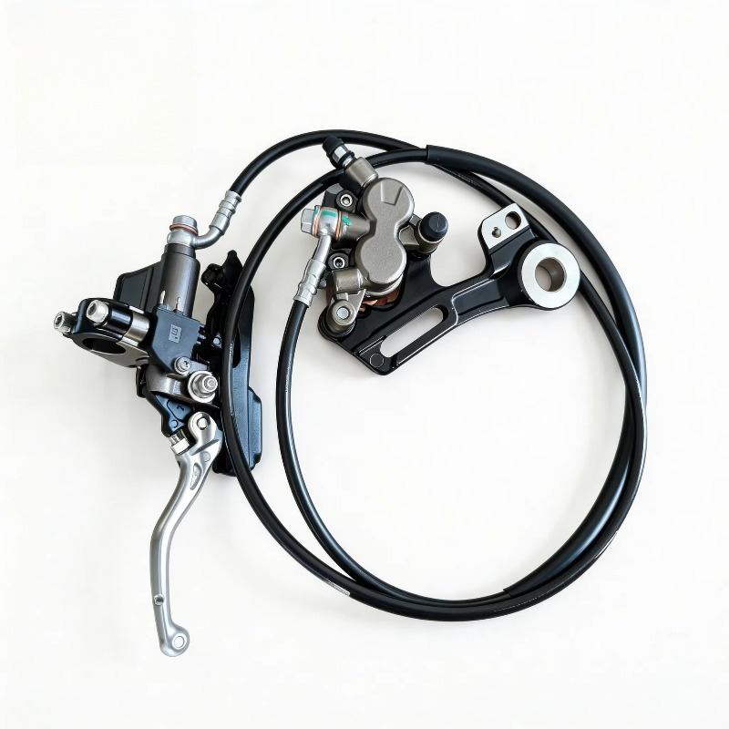 Rear Brake Assemblies + Mounts - Brake Disc Motorcycle review and price